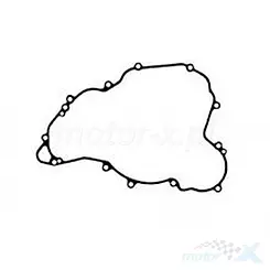 Uszczelka pokrywy silnika prawej, wewnętrzna, Vertex 816319