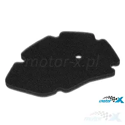 Wkład filtr powietrza, Gilera DNA 125-180 / Runner VX 125 / VXR 180-200 -05