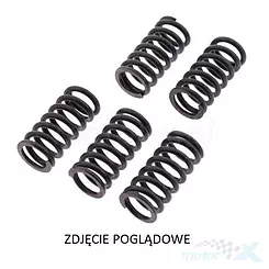 Sprężyny sprzęgła napędowego 3 sztuki TRW Lucas MEF350