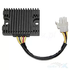 Regulator napięcia Electrosport ESR866