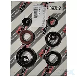 Uszczelniacze silnika komplet Bearing Worx OSK70254 (822254)