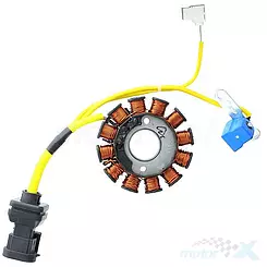 Stator iskrownik, stojan alternatora, 12 cewek, Electrosport ESG194