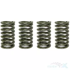 Sprężyny sprzęgła napędowego Psychic Motorsports MX-03529A (EBS007)