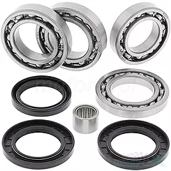 Zestaw naprawczy dyferencjału tylnego All Balls (25-2101) Arctic Cat Wildcat / LTD / X
