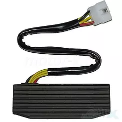 Regulator napięcia Electrosport ESR751