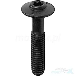 Śruba M6x30mm QJMotor 08002P620005