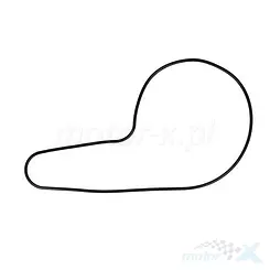 Uszczelka pompy wody Athena S410210024051, Honda TRX 500 FA 01-04