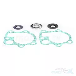 Zestaw naprawczy pompy wody Bearing Worx WMK30006 (WPK0013)