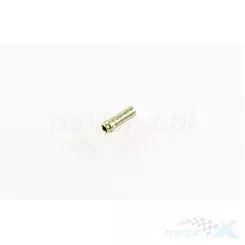 Króciec w głowicy cylindra Benelli 100106030000