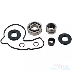 Zestaw naprawczy pompy wody Hot Rods WPK0058