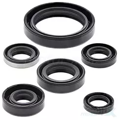 Uszczelniacze silnika komplet Winderosa Kawasaki KLX250R 94-96, KLX250S 06-18, KLX250SF 09-10, KLX300(R) 97-07