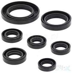 Uszczelniacze silnika komplet Winderosa Honda TRX250TE RECON 02-21, TRX250TM RECON 02-21, TRX250X 