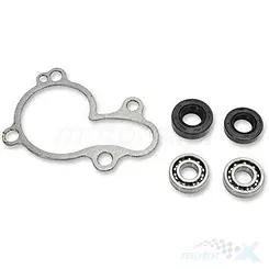 Zestaw naprawczy pompy wody Hot Rods WPK0064