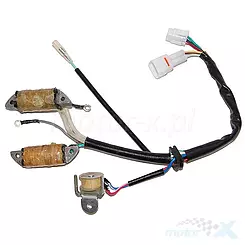 Stator iskrownik, stojan alternatora, Electrosport ESL172