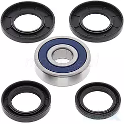 Łożyska koła tylnego z uszczelniaczami All Balls 25-1643, CFMOTO CF GLORY / CF150T CHARM / Honda CN250