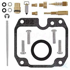 Zestaw naprawczy gaźnika All Balls Kawasaki KLX125 03-06, KLX125L 03-06