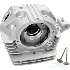 Głowica cylindra z zaworami Barton NXT 250L