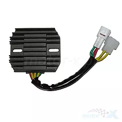 Regulator napięcia Electrosport ESR555