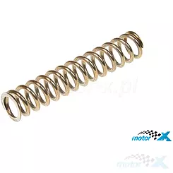 Sprężyna napinacza łańcucha rozrządu, Aprilia Leonardo 125-150 99-04 / Scarabeo 125-200 99-04 (Rotax)