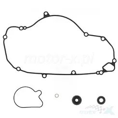 Zestaw naprawczy pompy wody Centauro 731A022WB