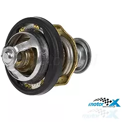 Termostat, Aprilia Atlantic 500 / Piaggio X9 500 Evolution