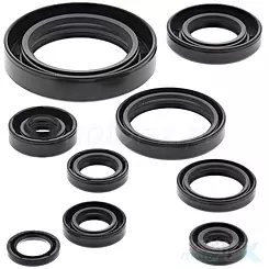 Uszczelniacze silnika komplet Bearing Worx OSK30177 (822177)
