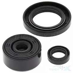 Uszczelniacze silnika komplet Winderosa Yamaha XT250 08-21, YFM 250 RAPTOR 08-13
