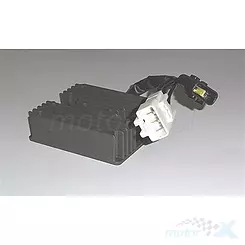Regulator napięcia Tourmax RGU-320