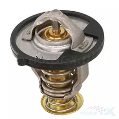 Termostat chłodnicy Tourmax TMT-101