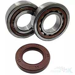 Łożyska wału korbowego z uszczelniaczami  Bearing Worx CBK60010-B (NTN) (MADE IN JAPAN) (24-1106) 