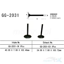 Zawór ssący Vesrah GG-2031-IN