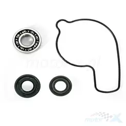 Zestaw naprawczy pompy wody Bearing Worx WMK30009 (WPK0001)