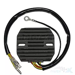 Regulator napięcia Electrosport ESR101