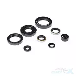 Uszczelniacze silnika komplet Bearing Worx OSK50183 (822183)