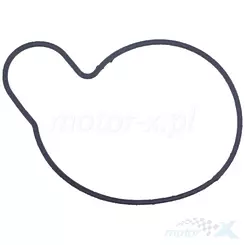 Uszczelka pompy wody Athena S410510024021