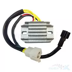 Regulator napięcia Tourmax RGU-317