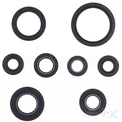 Uszczelniacze silnika komplet, Athena P400485400041