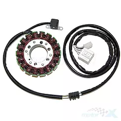 Stator iskrownik, stojan alternatora, Electrosport ESG836