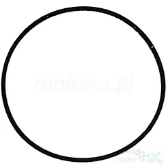 Uszczelka głowicy cylindra, oring, Athena M751802212094