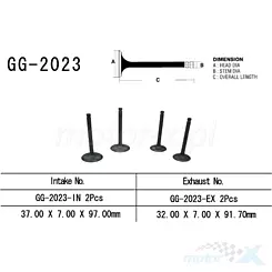 Zawór ssący Vesrah GG-2023-IN