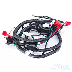 Instalacja elektryczna Zipp Eagle 