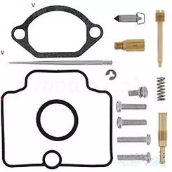 Zestaw naprawczy gaźnika Bearing Worx CK30793 (26-1195)