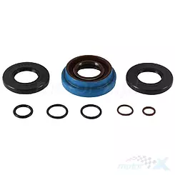 Zestaw uszczelniaczy skrzyni biegów All Balls (25-7114) Polaris Ranger TM 700