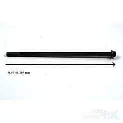 Śruba M10x259mm