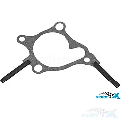Uszczelka pokrywy pompy wody Athena S410210024041