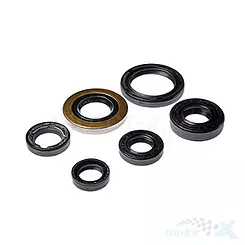 Uszczelniacze silnika komplet Bearing Worx OSK30278 (822278)
