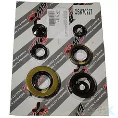 Uszczelniacze silnika komplet Bearing Worx OSK70227 (822227)