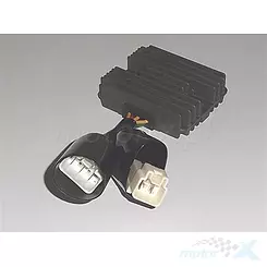 Regulator napięcia Tourmax RGU-164