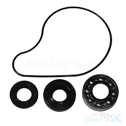 Zestaw naprawczy pompy wody Bearing Worx WMK90005 (WPK0016)