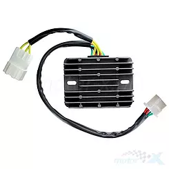 Regulator napięcia Electrosport ESR089